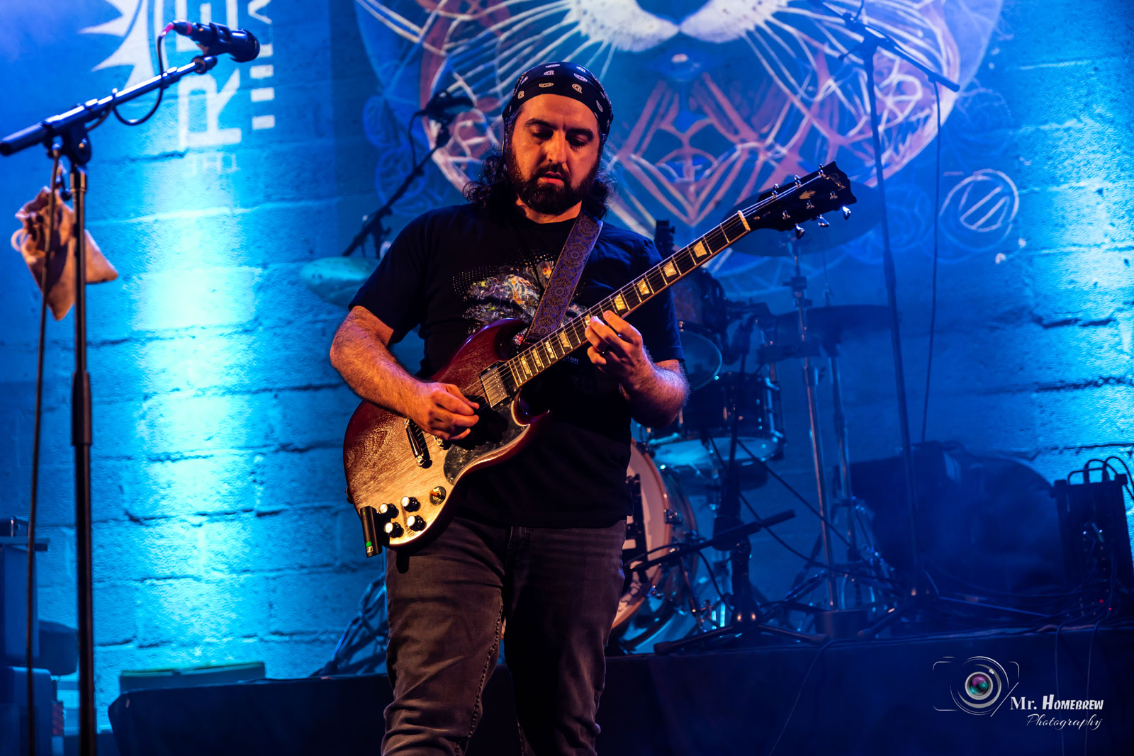Live Ciotter Photo
